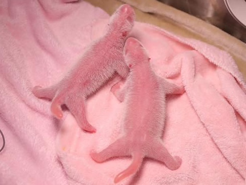 1564623787111254.png image.png